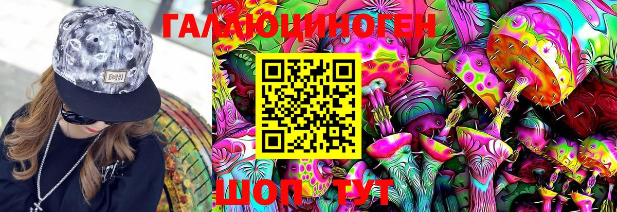 Михайловка  Галлюциногенные грибы MAGIC MUSHROOMS  Вход с VPN 