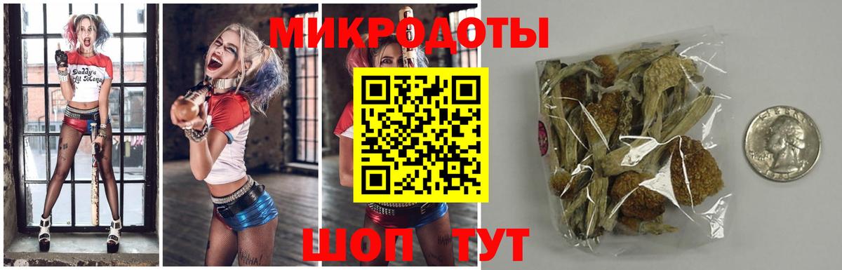 Галлюциногенные грибы MAGIC MUSHROOMS Михайловка